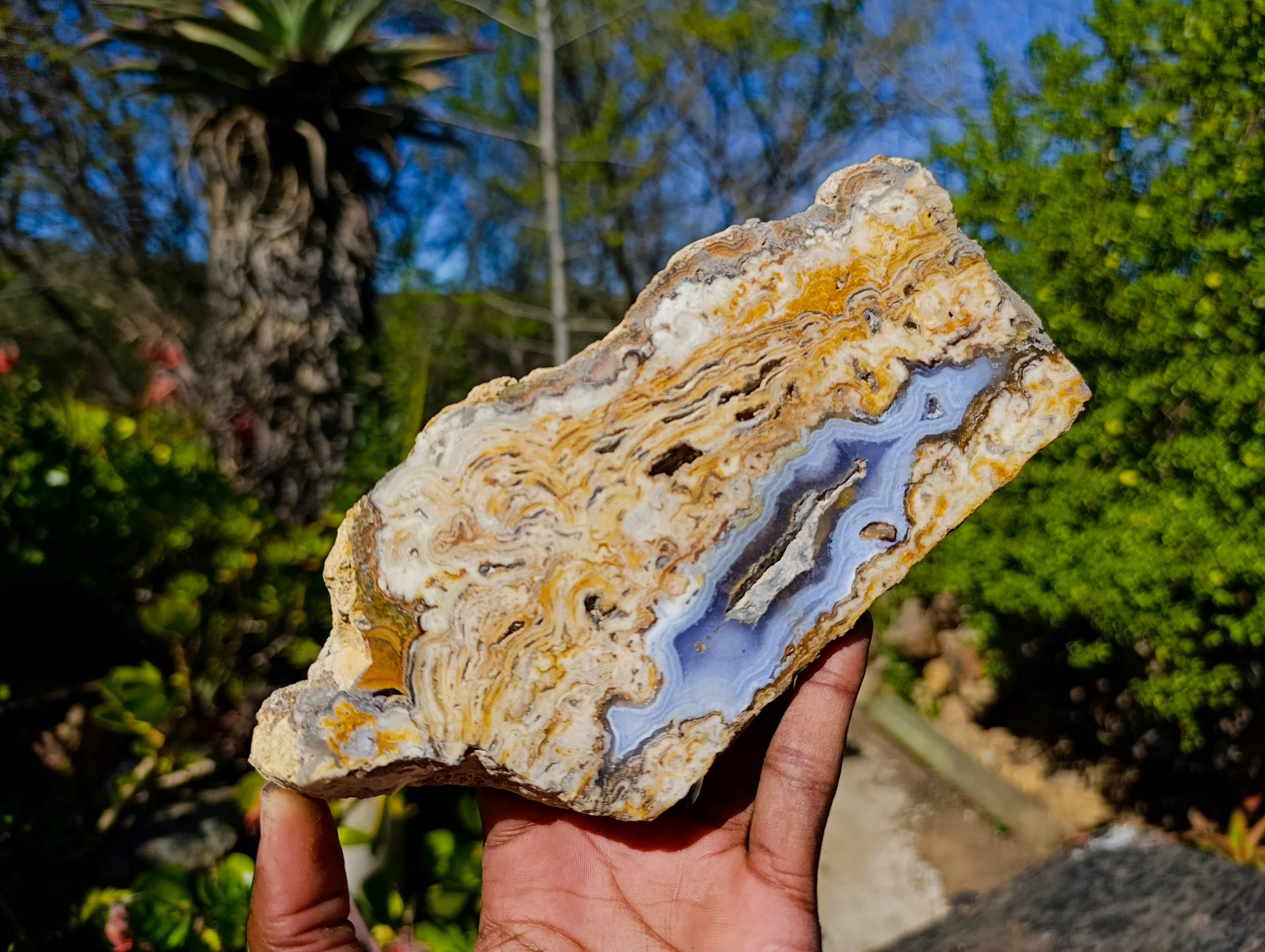 Polished On One Side 'Crazy Lace' Blue Lace Agate x 2 From Namibia - Toprock Gemstones and Minerals 