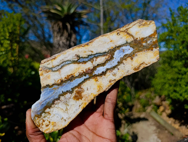 Polished On One Side 'Crazy' Blue Lace Agate x 2 From Namibia