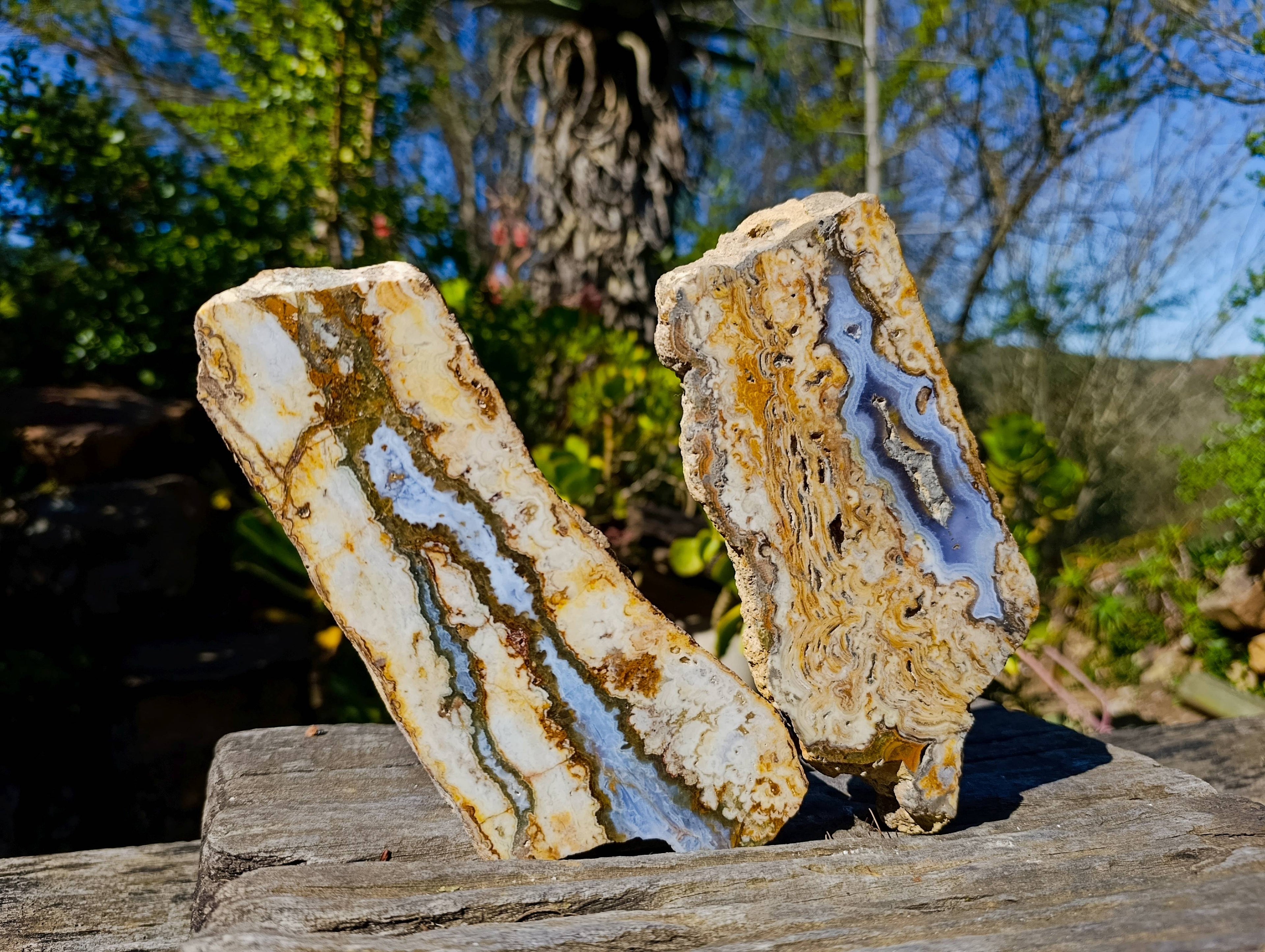 Polished On One Side 'Crazy Lace' Blue Lace Agate x 2 From Namibia - Toprock Gemstones and Minerals 