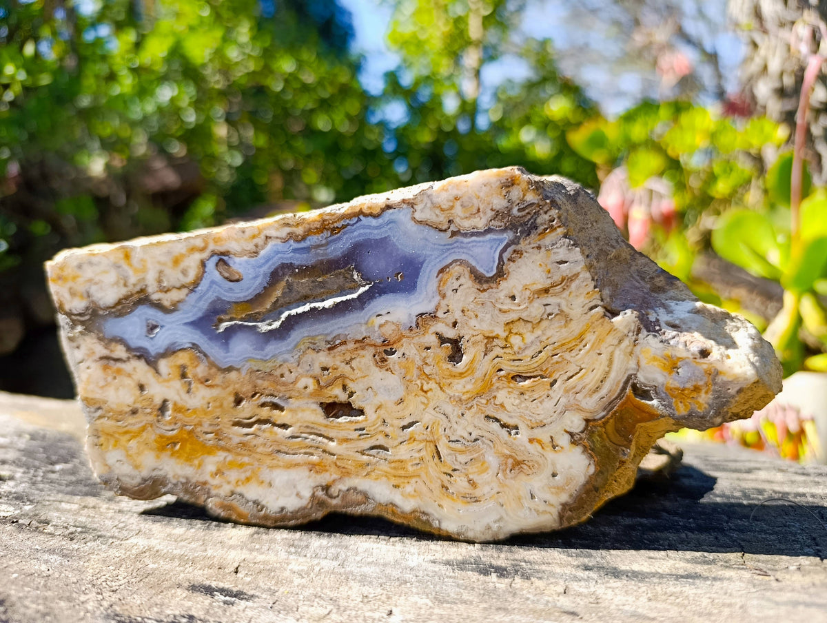 Polished On One Side 'Crazy Lace' Blue Lace Agate x 2 From Namibia - Toprock Gemstones and Minerals 