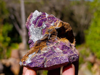 Natural Metallic Purpurite Specimens x 12 From Erongo, Namibia