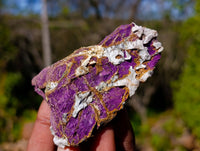 Natural Metallic Purpurite Specimens x 12 From Erongo, Namibia