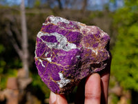 Natural Metallic Purpurite Specimens x 12 From Erongo, Namibia