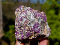 Natural Metallic Purpurite Specimens x 12 From Erongo, Namibia