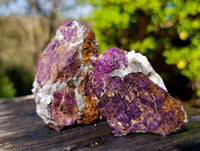 Natural Metallic Purpurite Specimens x 12 From Erongo, Namibia