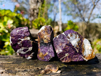Natural Metallic Purpurite Specimens x 12 From Erongo, Namibia