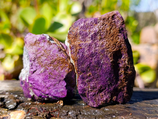 Natural Metallic Purpurite Specimens x 12 From Erongo, Namibia