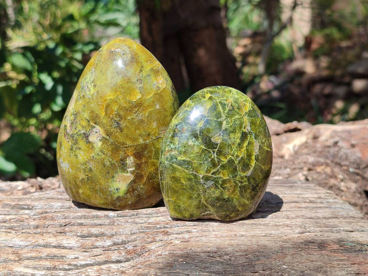 Polished Green Opal Standing Free Form x 4 From Betroka, Madagascar - Toprock Gemstones and Minerals 
