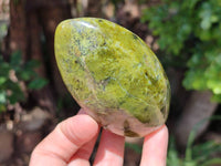 Polished Green Opal Standing Free Form x 4 From Betroka, Madagascar