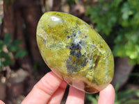 Polished Green Opal Standing Free Form x 4 From Betroka, Madagascar