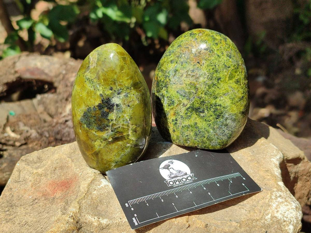 Polished Green Opal Standing Free Form x 4 From Betroka, Madagascar - Toprock Gemstones and Minerals 