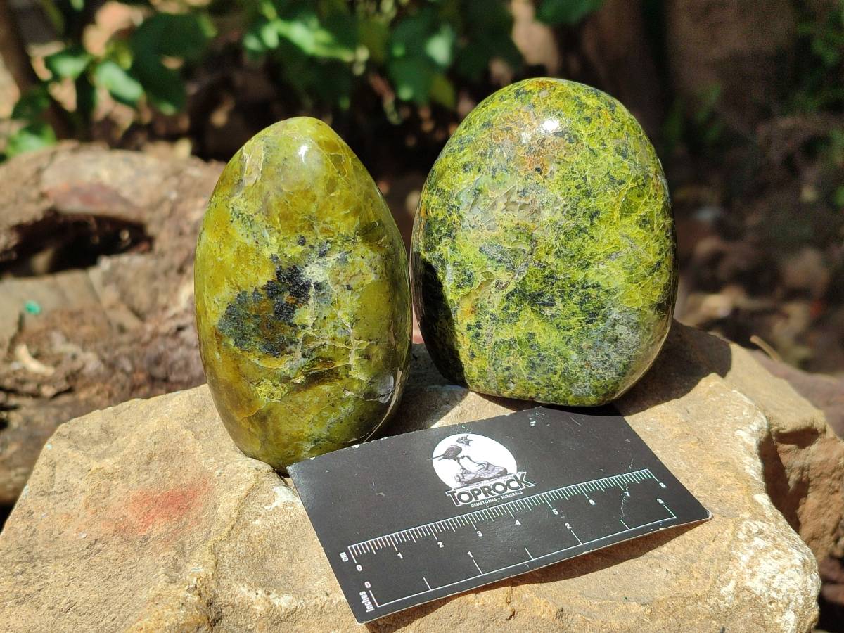Polished Green Opal Standing Free Form x 4 From Betroka, Madagascar - Toprock Gemstones and Minerals 