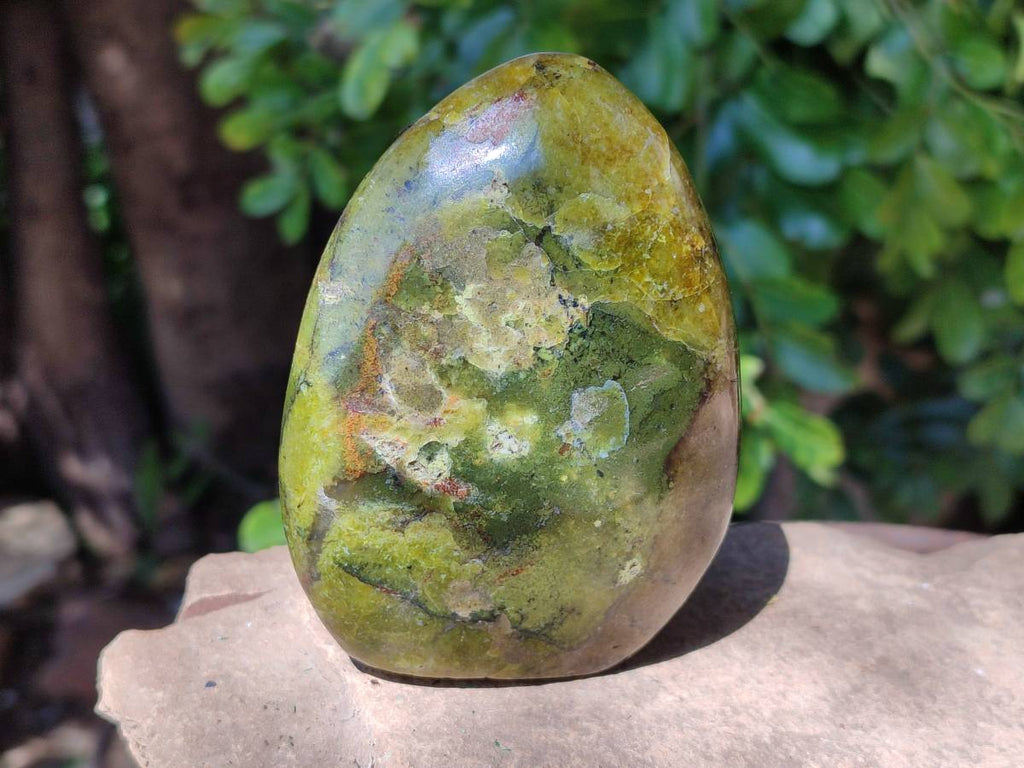 Polished Green Opal Standing Free Form x 4 From Betroka, Madagascar - Toprock Gemstones and Minerals 