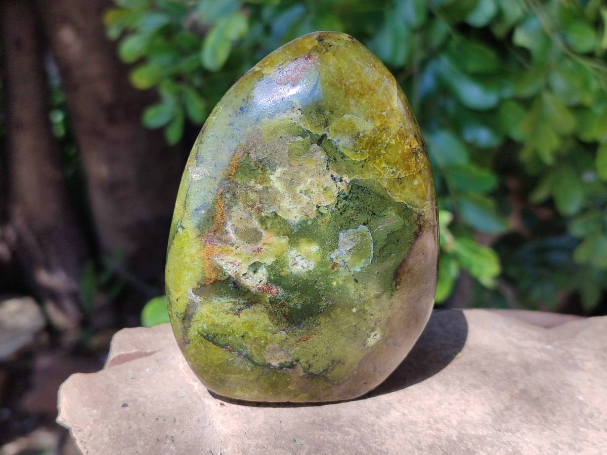 Polished Green Opal Standing Free Form x 4 From Betroka, Madagascar - Toprock Gemstones and Minerals 
