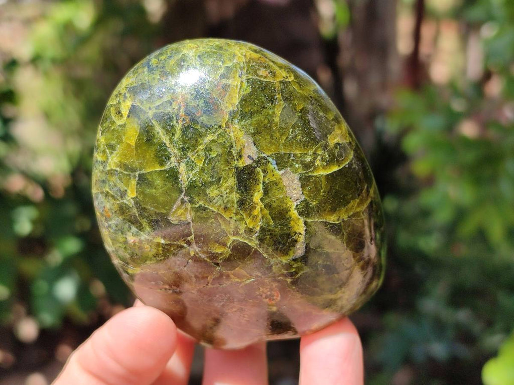 Polished Green Opal Standing Free Form x 4 From Betroka, Madagascar - Toprock Gemstones and Minerals 