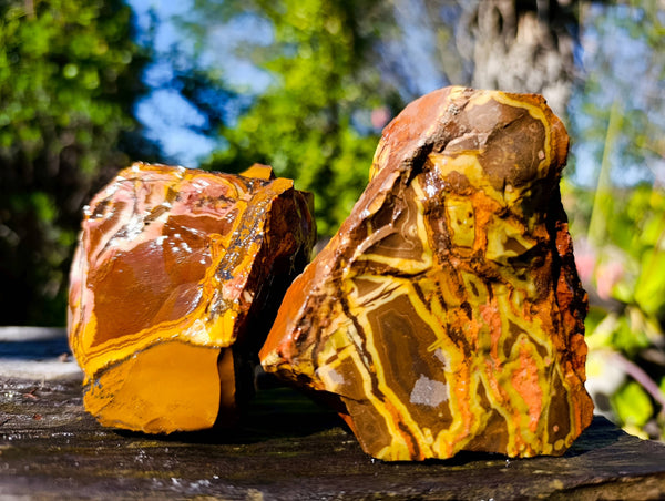 Natural Nguni Jasper Cobbed Specimens x 12 From Prieska, South Africa