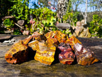 Natural Nguni Jasper Cobbed Specimens x 12 From Prieska, South Africa - Toprock Gemstones and Minerals 