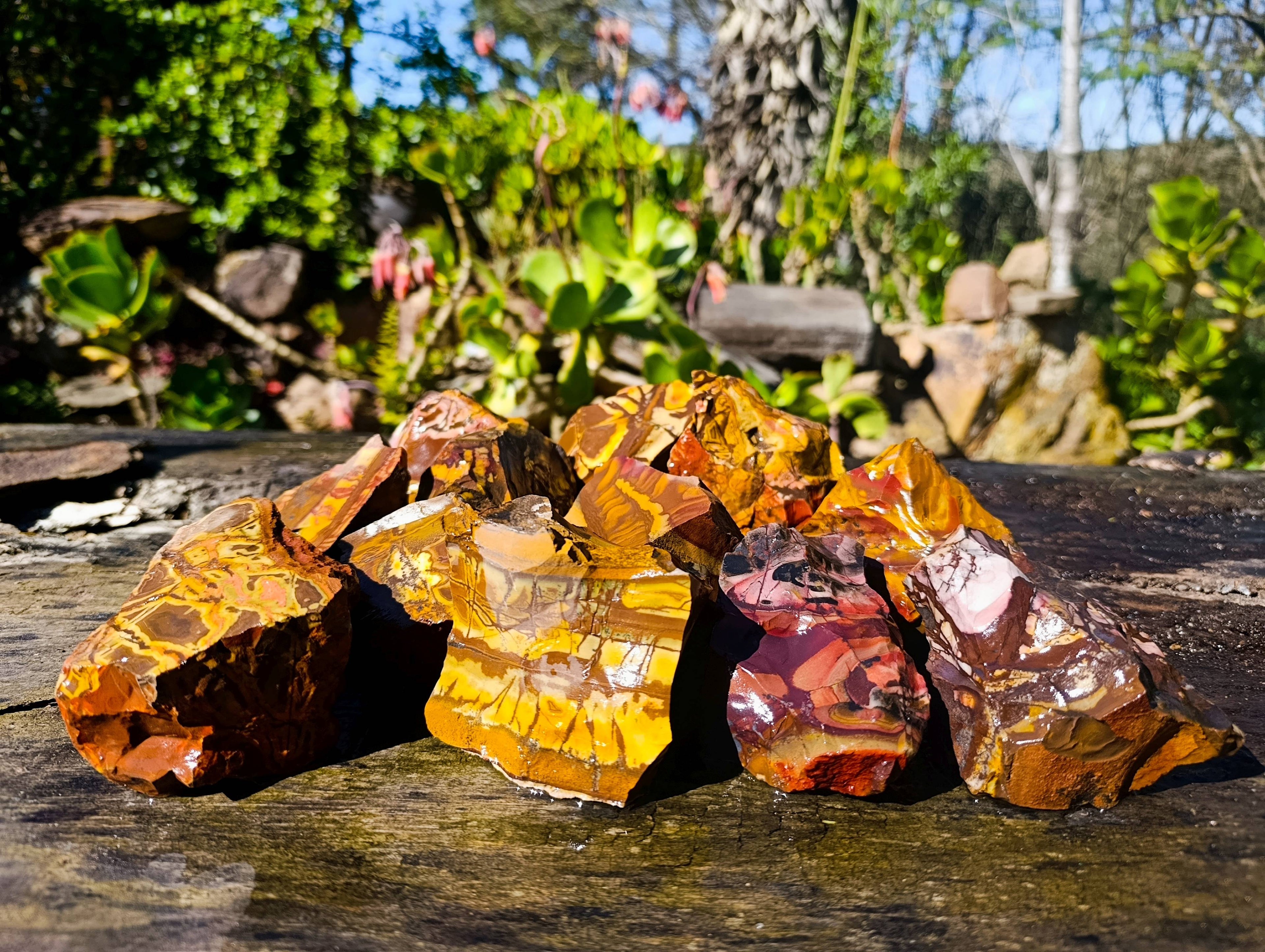 Natural Nguni Jasper Cobbed Specimens x 12 From Prieska, South Africa - Toprock Gemstones and Minerals 