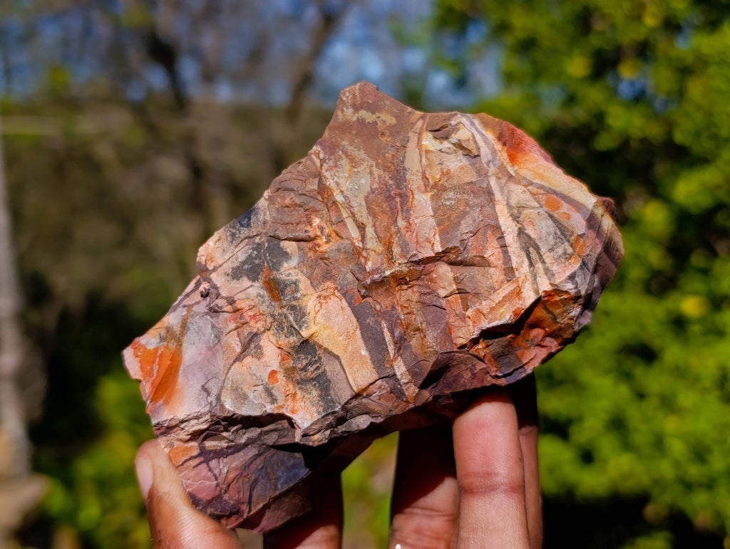 Natural Nguni Jasper Cobbed Specimens x 12 From Prieska, South Africa - Toprock Gemstones and Minerals 