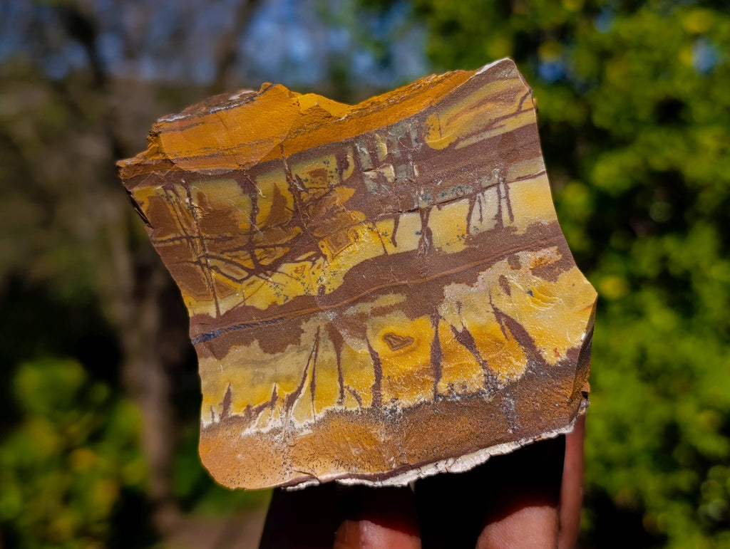 Natural Nguni Jasper Cobbed Specimens x 12 From Prieska, South Africa - Toprock Gemstones and Minerals 