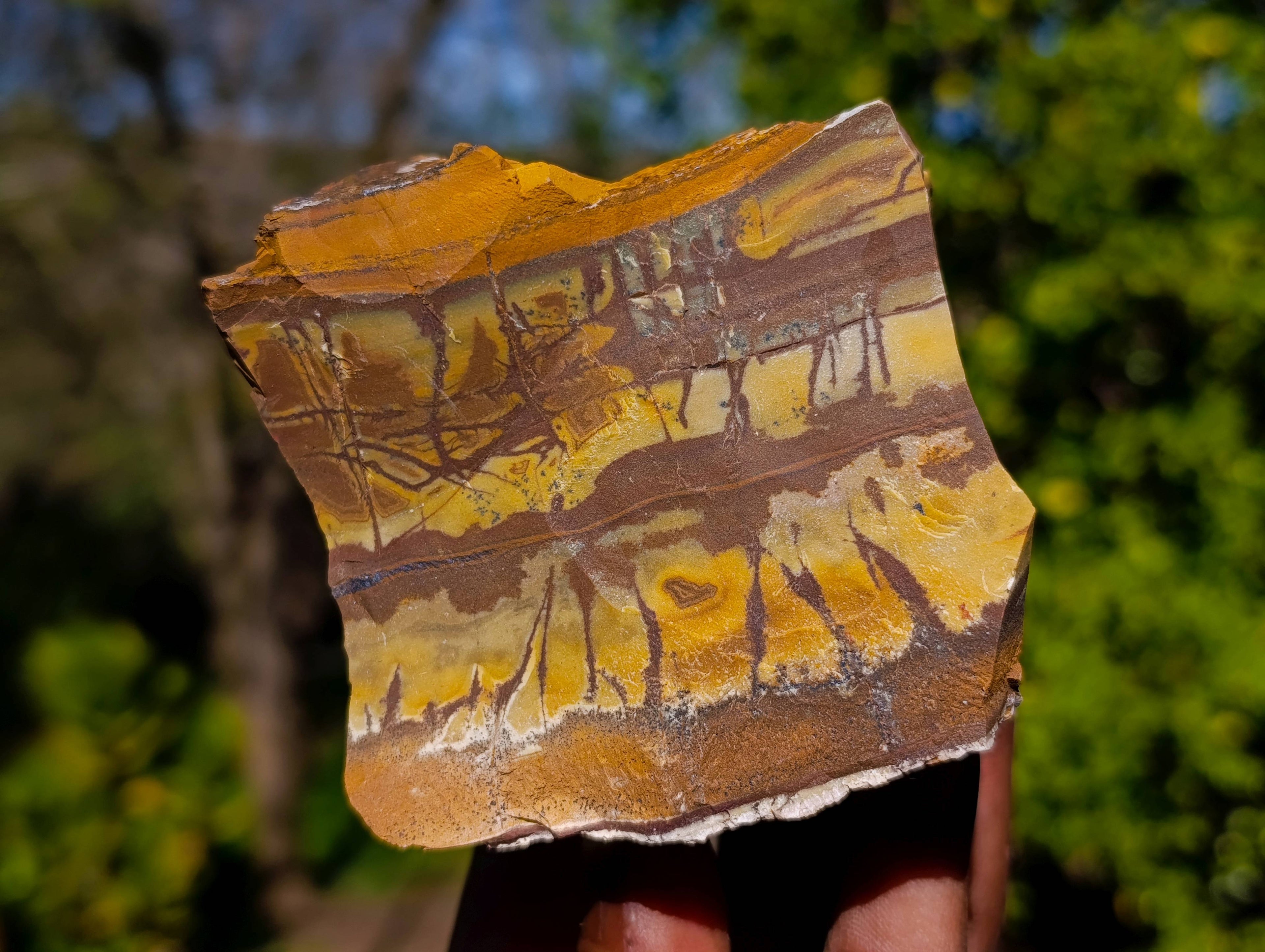Natural Nguni Jasper Cobbed Specimens x 12 From Prieska, South Africa - Toprock Gemstones and Minerals 