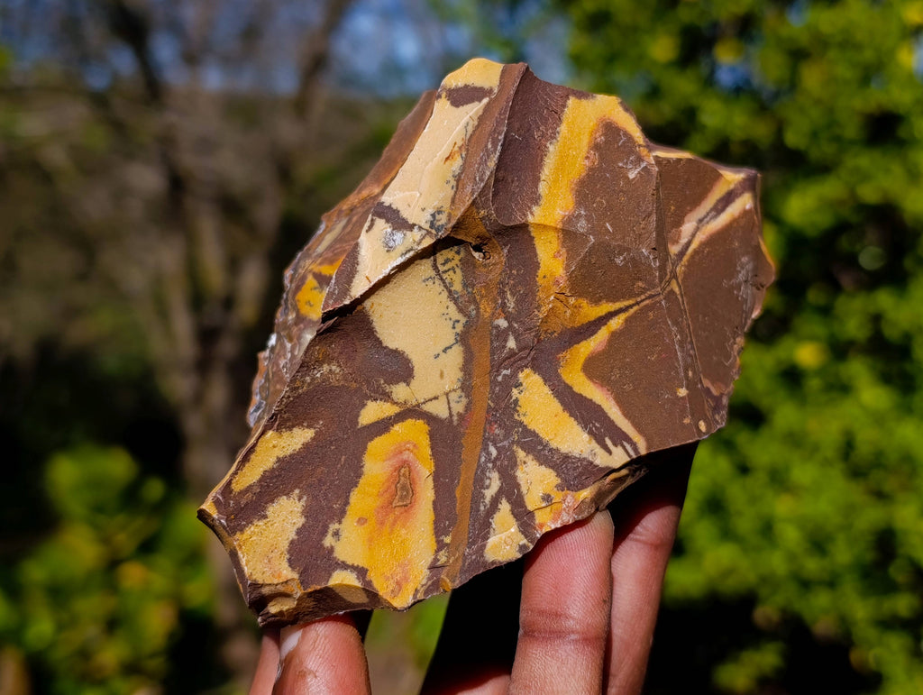 Natural Nguni Jasper Cobbed Specimens x 12 From Prieska, South Africa - Toprock Gemstones and Minerals 