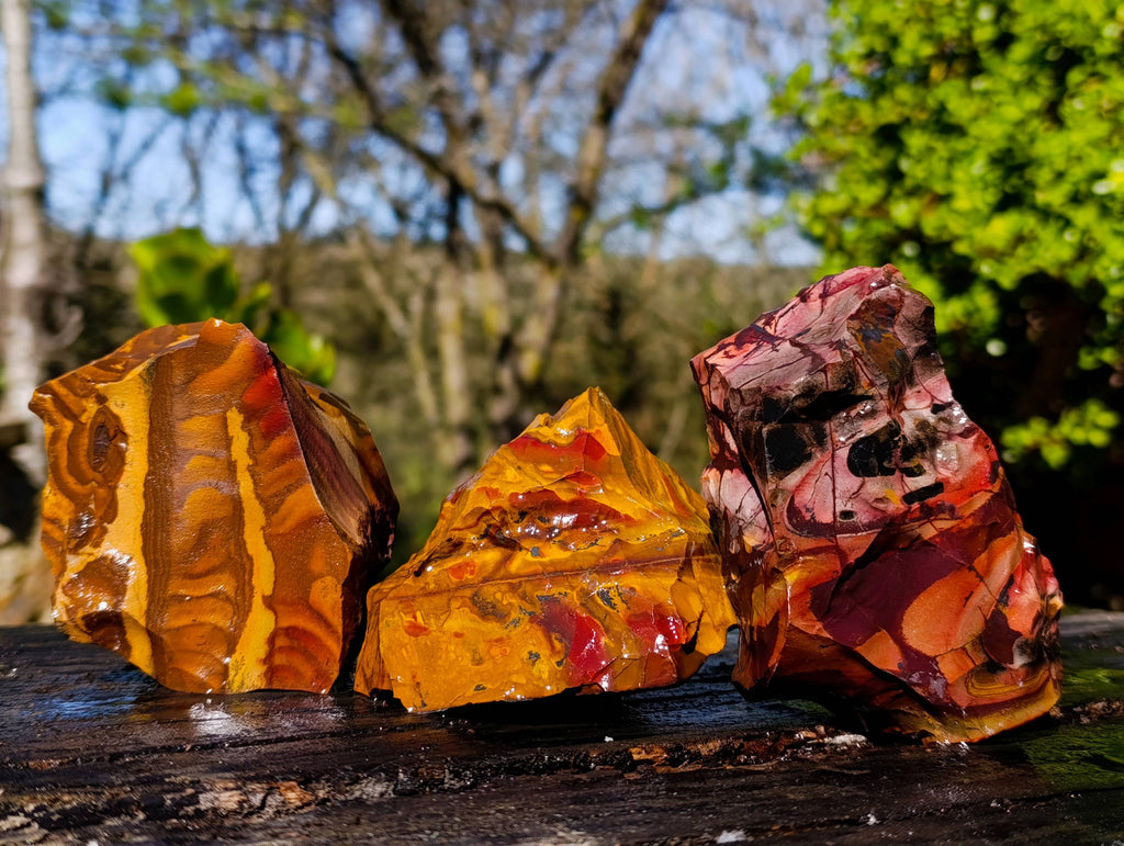 Natural Nguni Jasper Cobbed Specimens x 12 From Prieska, South Africa - Toprock Gemstones and Minerals 