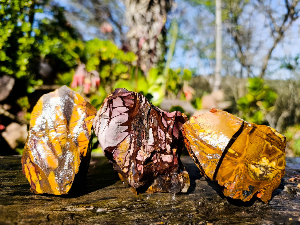Natural Nguni Jasper Cobbed Specimens x 12 From Prieska, South Africa - Toprock Gemstones and Minerals 