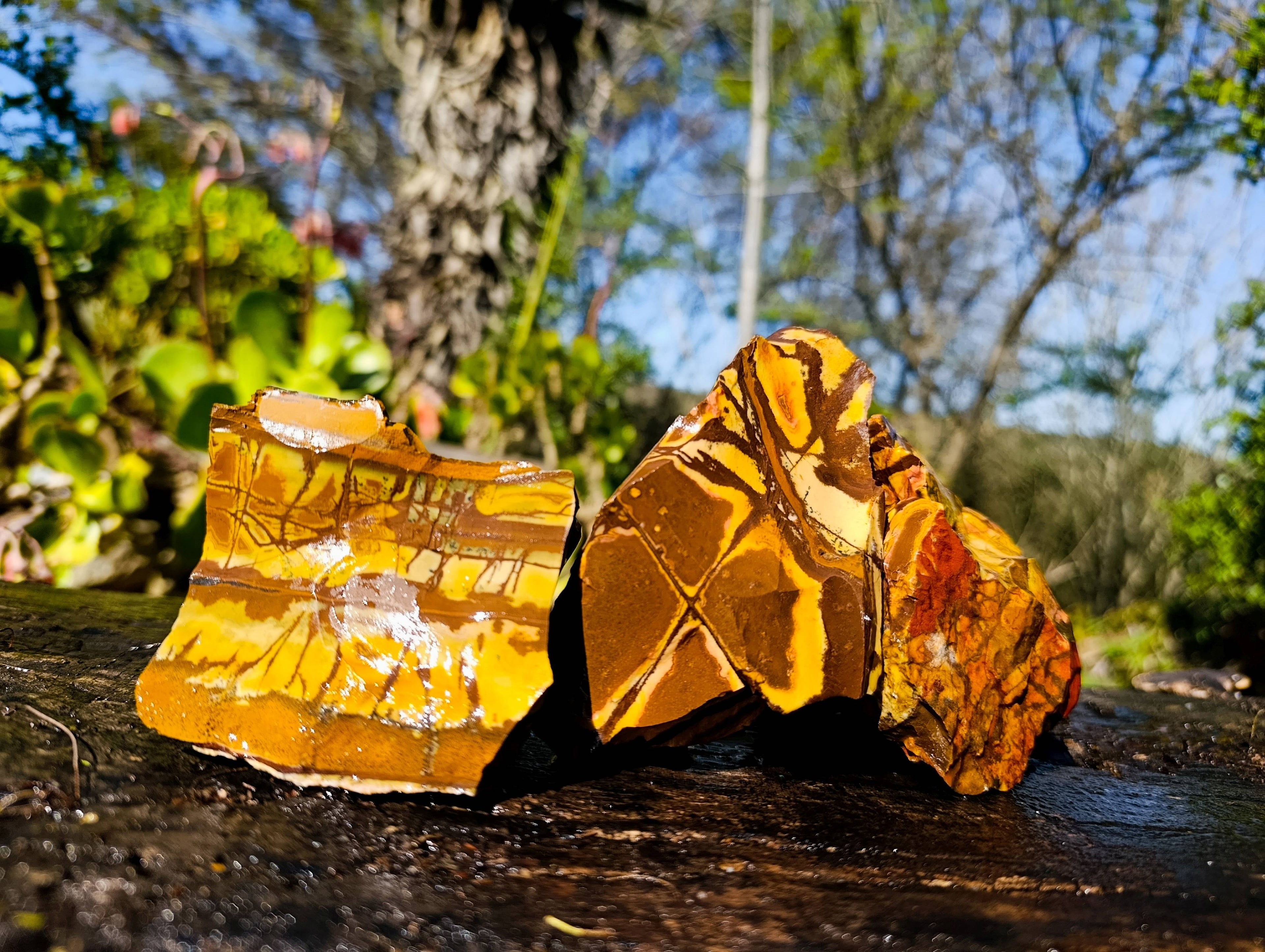 Natural Nguni Jasper Cobbed Specimens x 12 From Prieska, South Africa - Toprock Gemstones and Minerals 