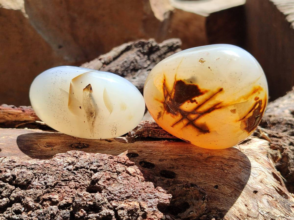 Polished Banded Agate Palm Stones x 12 From Madagascar - Toprock Gemstones and Minerals 