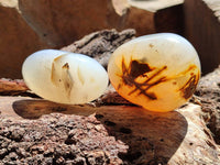 Polished Banded Agate Palm Stones x 12 From Madagascar