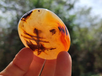 Polished Banded Agate Palm Stones x 12 From Madagascar