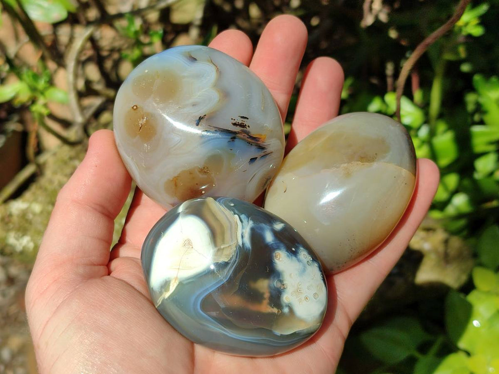 Polished Banded Agate Palm Stones x 12 From Madagascar - Toprock Gemstones and Minerals 