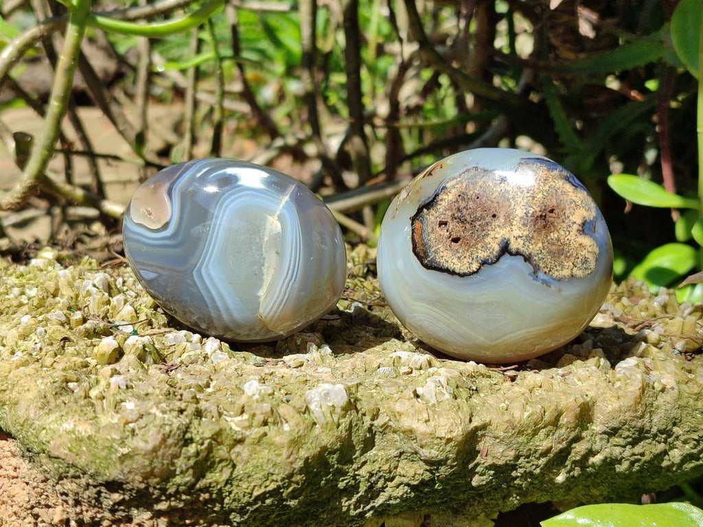 Polished Banded Agate Palm Stones x 12 From Madagascar - Toprock Gemstones and Minerals 