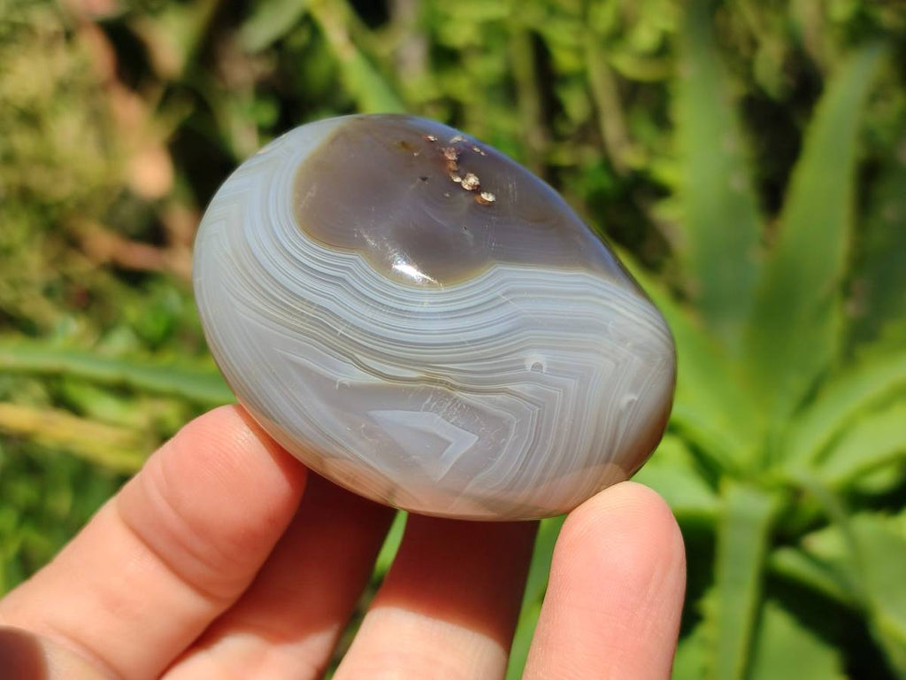 Polished Banded Agate Palm Stones x 12 From Madagascar - Toprock Gemstones and Minerals 