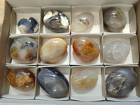Polished Banded Agate Palm Stones x 12 From Madagascar