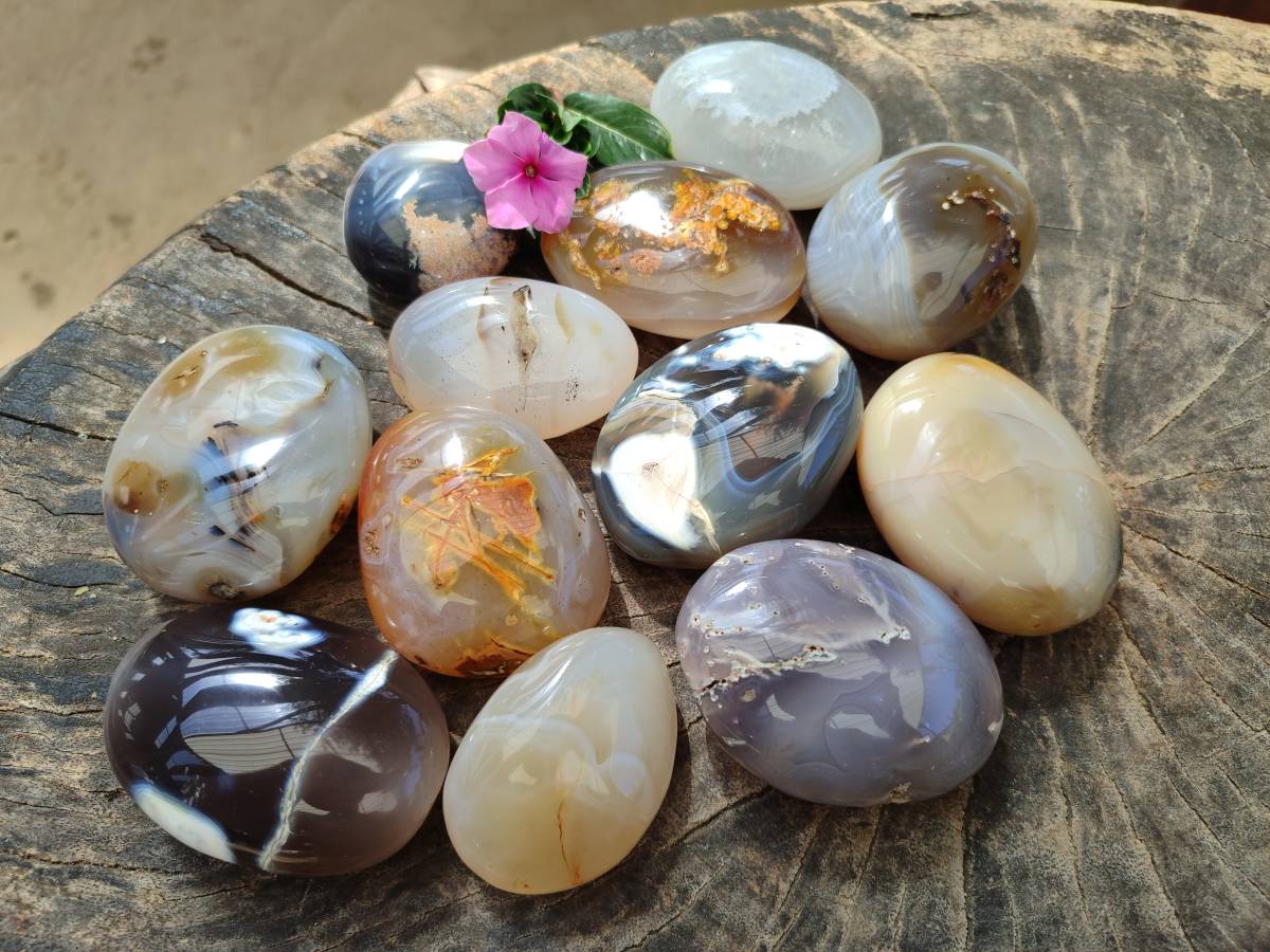 Polished Banded Agate Palm Stones x 12 From Madagascar - Toprock Gemstones and Minerals 