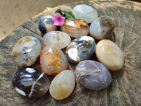 Polished Banded Agate Palm Stones x 12 From Madagascar