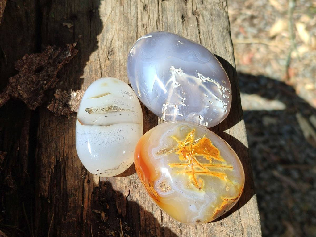 Polished Banded Agate Palm Stones x 12 From Madagascar - Toprock Gemstones and Minerals 