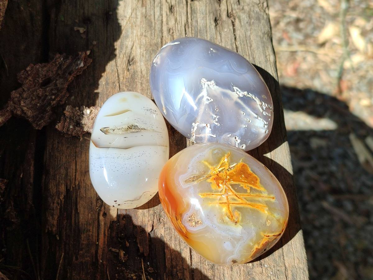 Polished Banded Agate Palm Stones x 12 From Madagascar - Toprock Gemstones and Minerals 