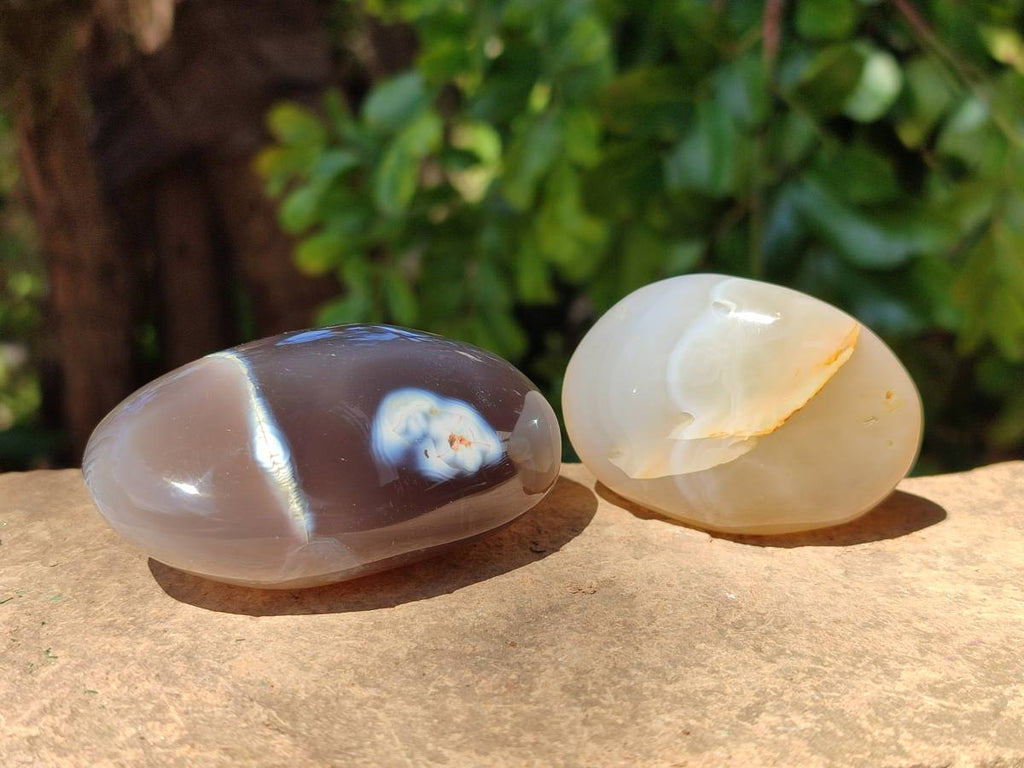 Polished Banded Agate Palm Stones x 12 From Madagascar - Toprock Gemstones and Minerals 
