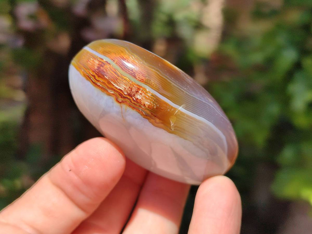Polished Banded Agate Palm Stones x 12 From Madagascar - Toprock Gemstones and Minerals 