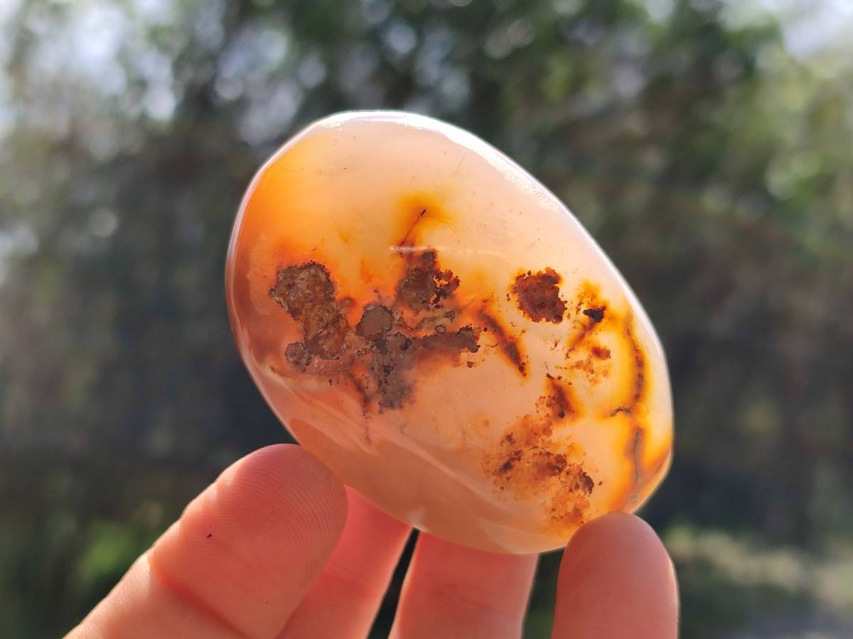 Polished Banded Agate Palm Stones x 12 From Madagascar - Toprock Gemstones and Minerals 