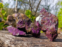 Natural Metallic Purpurite Cobbed Specimens x 12 From Erongo, Namibia