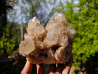 Natural Phantom Smokey Quartz Clusters x 2 From Luena, Congo
