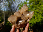 Natural Phantom Smokey Quartz Clusters x 2 From Luena, Congo - Toprock Gemstones and Minerals 
