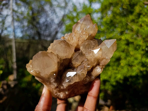 Natural Phantom Smokey Quartz Clusters x 2 From Luena, Congo