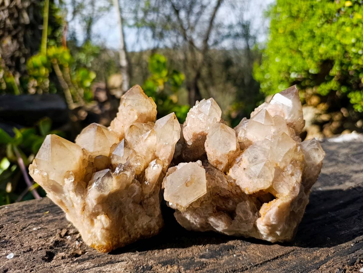 Natural Phantom Smokey Quartz Clusters x 2 From Luena, Congo - Toprock Gemstones and Minerals 