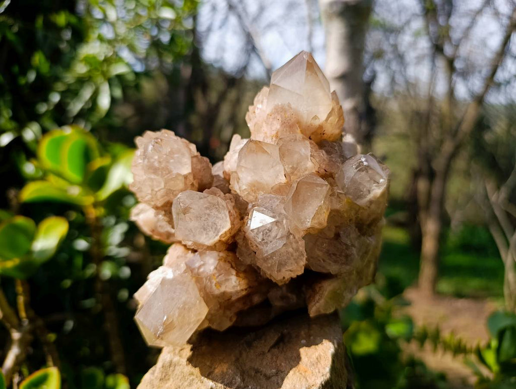 Natural Phantom Smokey Quartz Clusters x 2 From Luena, Congo - Toprock Gemstones and Minerals 