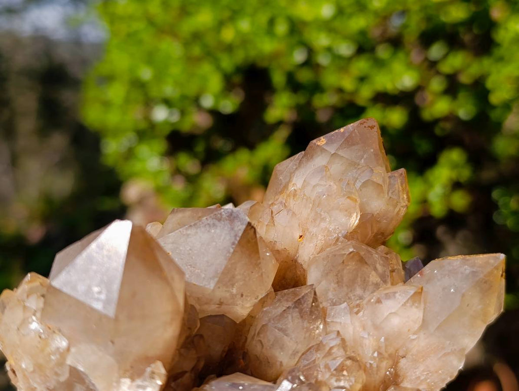 Natural Phantom Smokey Quartz Clusters x 2 From Luena, Congo - Toprock Gemstones and Minerals 